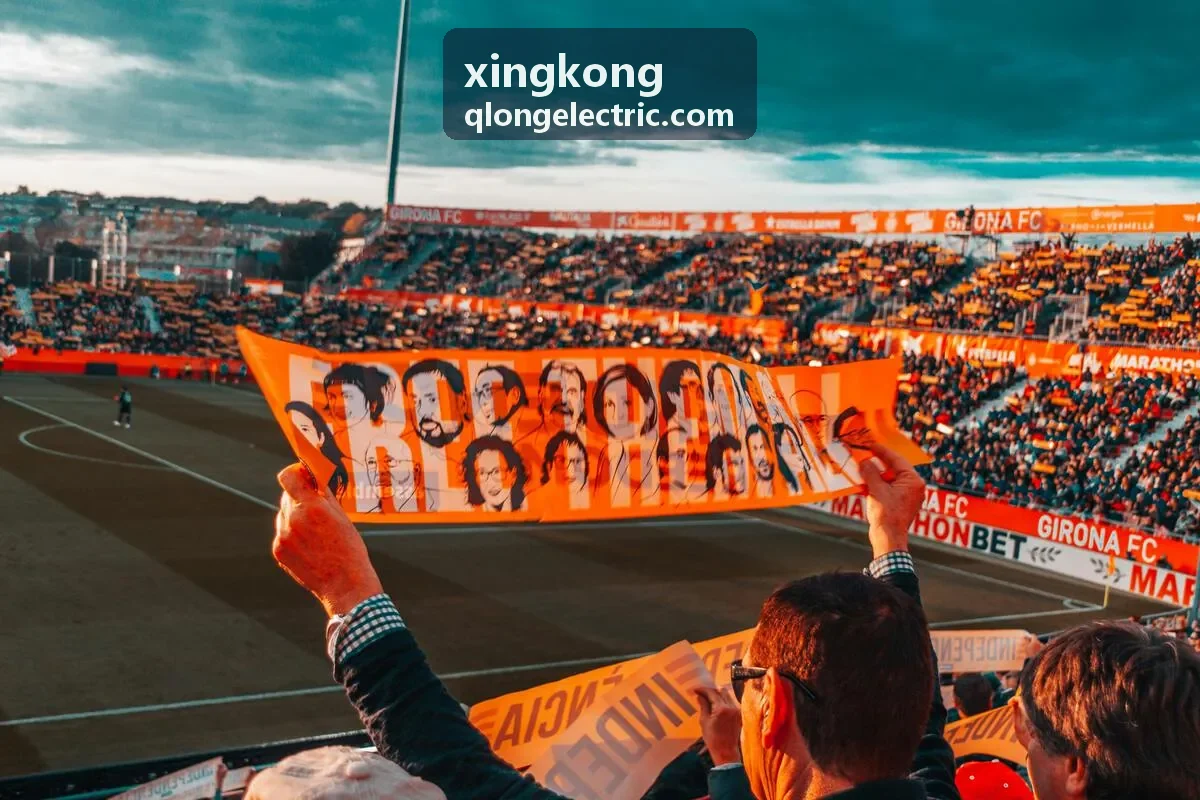 xingkong 能源云平台界面